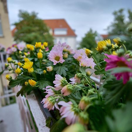 Appartement Otto I - Erfurt Zentrum Exterior foto